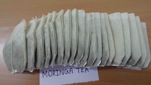 Moringa Tea Bags exporter  India